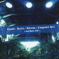 Candid (Jpn) / Realm (Jpn) / Intraum (Jpn) / Congenital Hell (Jpn) - 4-way Split - CD