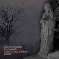 Lake Of Depression (Pan) / Crepuscularia (Rus) / Source Of Deep Shadows (Rus) / Quarsar (Rus) - Split - CD