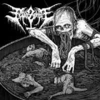 Fetid Zombie (USA) - Vomiting in the Baptismal Pool - CD + A5 book