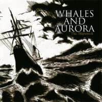 Whales and Aurora (Ita) - The Shipwreck - CD