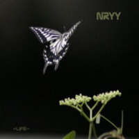 Nryy - Life - CD