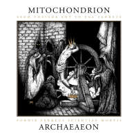 Mitochondrion (Can) - Archaeaeon - 2LP
