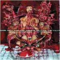 Cardiac Necropsy (Sin) / Necrotic Chaos (Mal) - Splitting the Vulva - CD