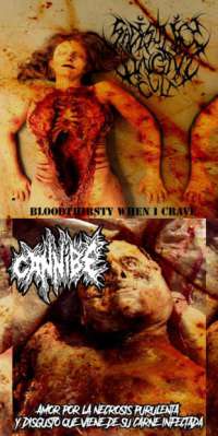 Sadistic Lingam Cult (Jpn) / Cannibe (Ita) - Bloodthirsty When I Crave / Amor por la necrosis purulenta y disgusto que viene de su carne infectada - CD
