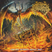 Incestuous Impregnation (Chn/USA) - Gnashed Between Unholy Jaws - CD