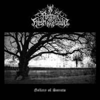 A Portrait of Flesh and Blood (Aus/Jpn/USA) - Gallery of Sorrow - CD