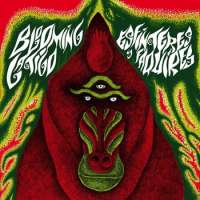 Bloming Latigo (Spa) - Esfinteres Y Faquires - CD