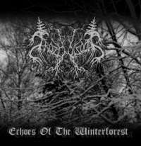 Frozenwoods (Rus) - Echoes of the Winterforest - CD