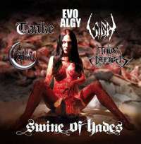 Evo/Algy / Taake (Nor) / Sigh (Jpn) / The Meads of Asphodel (UK) / Thus Defiled (UK) - Swine of Hades - CD