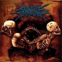 Chronic Infection (Mex) - Paradoxical Expulsion - CD