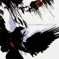 Skullflower (UK) - Tribulation - CD