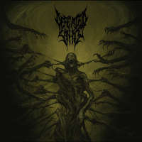 Defeated Sanity (Ger) - Passages into Deformity - CD