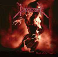 Destroyer (Col) - Dark City Hunter - CD