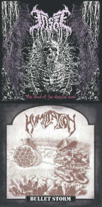 Humiliation (Mal) / Taste (Jpn) - Bullet Storm / The Blood of the Disaster Dead - Papersleeve CD