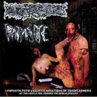 Paracocci... (Mex) / Parasite (Tha) - Lymphatic Vaginitis Infections of Toxoplasmosis at the Castle for Toward the Apocalipsexxx - CD