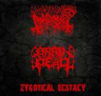 Abhorer (Sin) / Brain Dead (Mal) - Zygotical Ecstacy - CD
