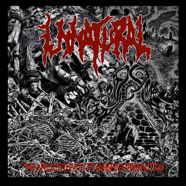 Unnatural (USA) - The Afflicted Path to Cursed Putrefaction Compilation - CD