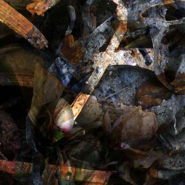The River (UK) - A Hollow Full of Hope - CD