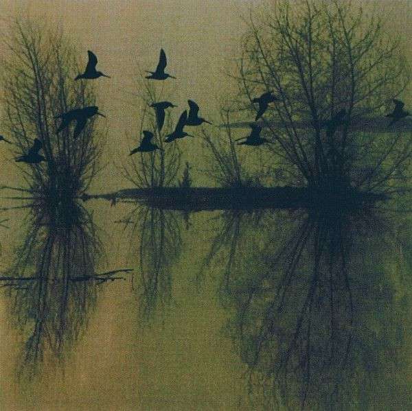 Dusk (USA) - ...Majestic Thou in Ruin(black vinyl) - 12